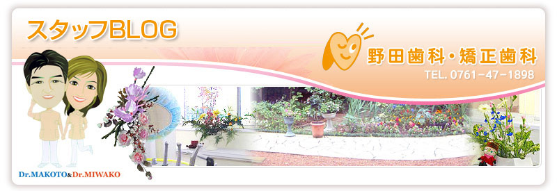 野田歯科 スタッフブログ